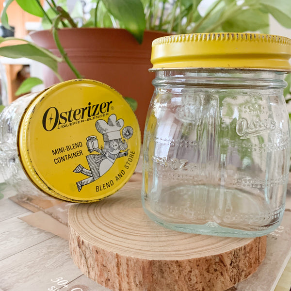 Osterizer Blend & Store